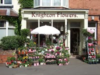 Knighton Flowers 290019 Image 0